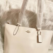 COACH Original Luxury Bag